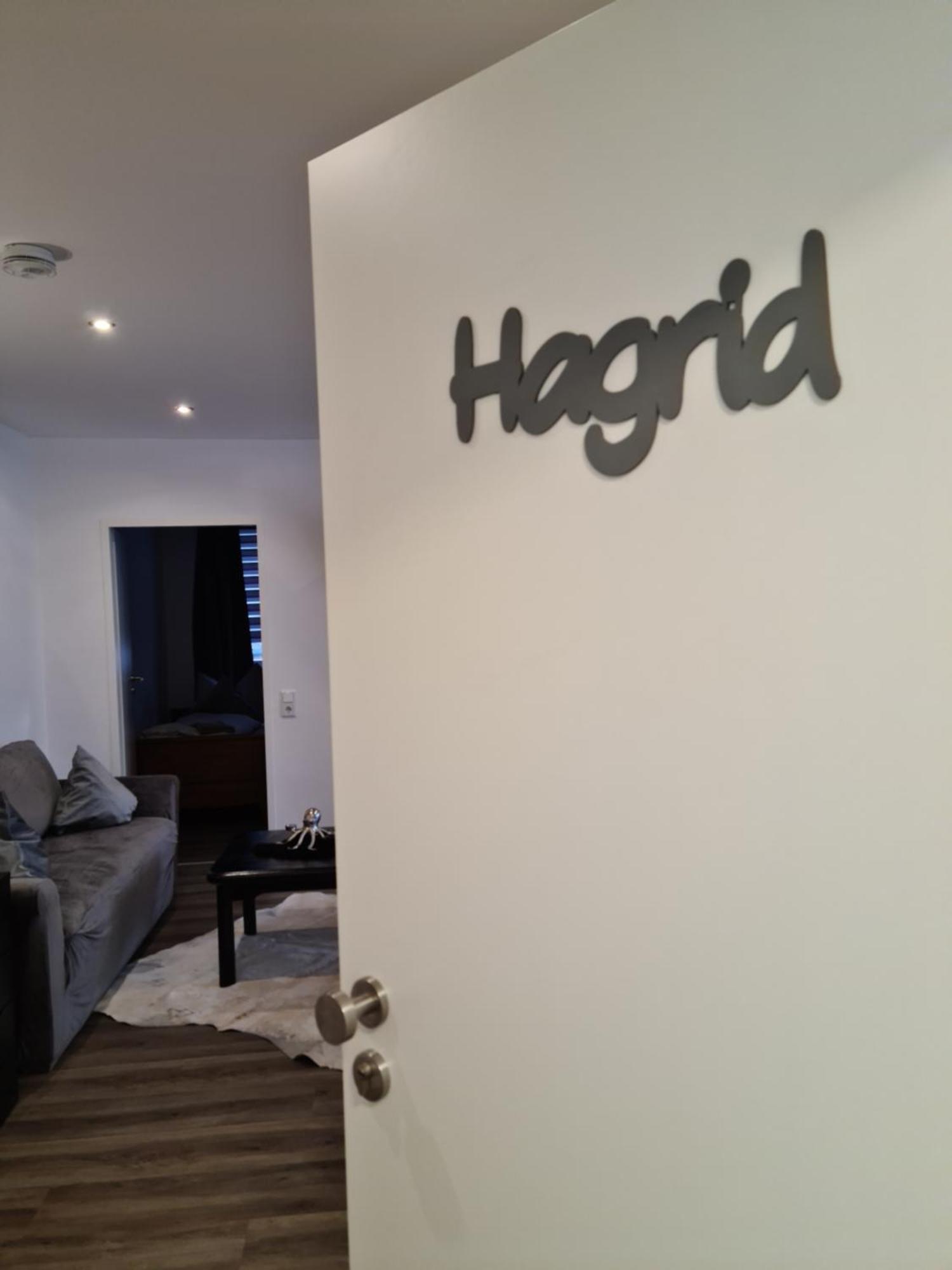Pilgrims "Hagrid" 2 Sz, Balkon, Kueche, Bad, Top Wifi Brilon Zewnętrze zdjęcie
